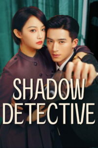 Shadow Detective